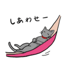 びびりネコあずきⅡ（個別スタンプ：16）