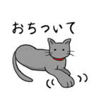 びびりネコあずきⅡ（個別スタンプ：18）