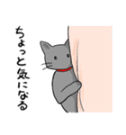 びびりネコあずきⅡ（個別スタンプ：22）