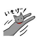 びびりネコあずきⅡ（個別スタンプ：23）