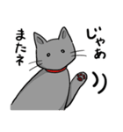 びびりネコあずきⅡ（個別スタンプ：26）