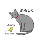 びびりネコあずきⅡ（個別スタンプ：33）