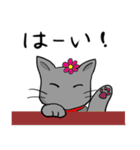 びびりネコあずきⅡ（個別スタンプ：34）