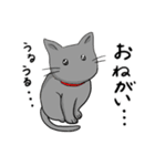 びびりネコあずきⅡ（個別スタンプ：38）