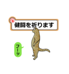 猫の掲示板2 rev2（個別スタンプ：6）