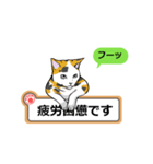 猫の掲示板2 rev2（個別スタンプ：17）