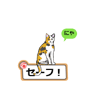 猫の掲示板2 rev2（個別スタンプ：19）