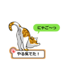 猫の掲示板2 rev2（個別スタンプ：25）