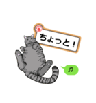 猫の掲示板2 rev2（個別スタンプ：27）