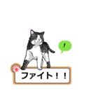 猫の掲示板2 rev2（個別スタンプ：30）