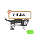 猫の掲示板2 rev2（個別スタンプ：31）