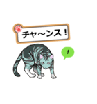 猫の掲示板2 rev2（個別スタンプ：34）