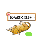 猫の掲示板2 rev2（個別スタンプ：36）