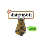 猫の掲示板2 rev2（個別スタンプ：39）