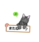 猫の掲示板2 rev2（個別スタンプ：40）