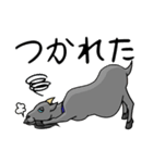 ヤギづくし（個別スタンプ：5）