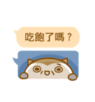 ameow-parents want to say...（個別スタンプ：19）