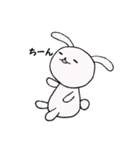 しろうさとくろうさ（個別スタンプ：1）