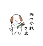 シーズー犬（個別スタンプ：3）