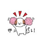 シーズー犬（個別スタンプ：8）