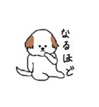 シーズー犬（個別スタンプ：9）