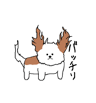 シーズー犬（個別スタンプ：10）