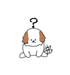 シーズー犬（個別スタンプ：11）