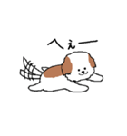 シーズー犬（個別スタンプ：12）