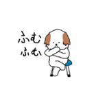 シーズー犬（個別スタンプ：13）