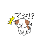 シーズー犬（個別スタンプ：14）