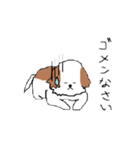 シーズー犬（個別スタンプ：15）
