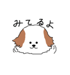 シーズー犬（個別スタンプ：18）