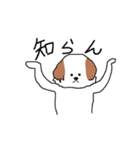 シーズー犬（個別スタンプ：22）