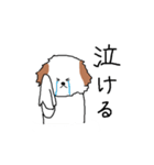 シーズー犬（個別スタンプ：23）