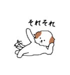 シーズー犬（個別スタンプ：26）