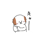 シーズー犬（個別スタンプ：28）