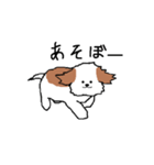 シーズー犬（個別スタンプ：31）