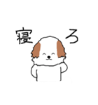 シーズー犬（個別スタンプ：33）