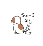 シーズー犬（個別スタンプ：34）