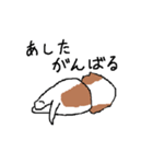 シーズー犬（個別スタンプ：37）