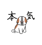 シーズー犬（個別スタンプ：38）