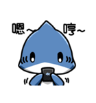 Shark's expressions NO.3（個別スタンプ：16）