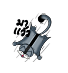 Crazy Sugar（個別スタンプ：10）