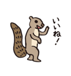 みんなのどーぶつ2（個別スタンプ：18）