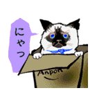 ねこ有限公社（個別スタンプ：23）