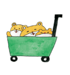 かんさいぐまの日常（個別スタンプ：14）