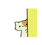 ネコとカエルのスタンプ（個別スタンプ：1）