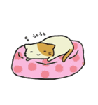 ネコとカエルのスタンプ（個別スタンプ：10）
