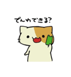 ネコとカエルのスタンプ（個別スタンプ：19）