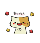 ネコとカエルのスタンプ（個別スタンプ：21）